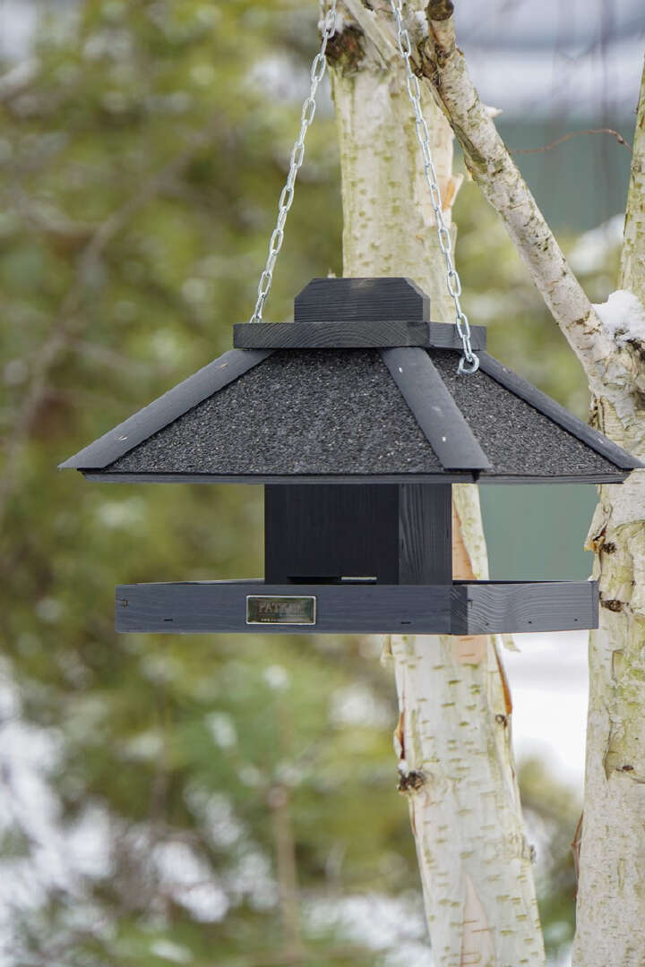 PATKAR Quadratisches Futterhaus Kiefernholz